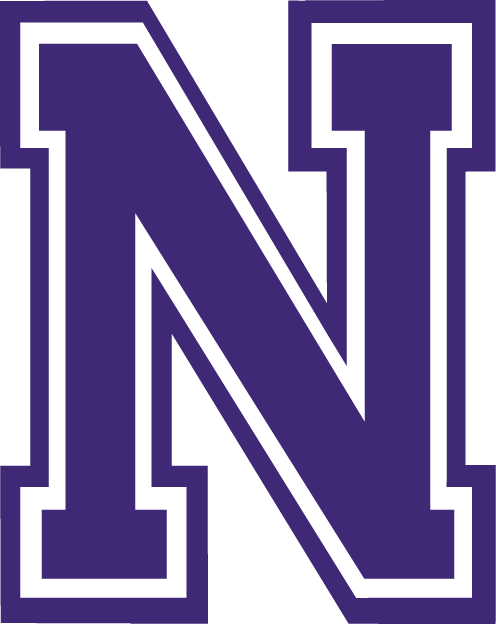 Northwestern State Demons 2000-2007 Alternate Logo iron on paper